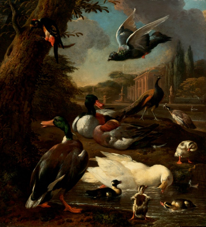 A Peacock, Pigeon, Ducks And Other Birds In a Garden Setting
