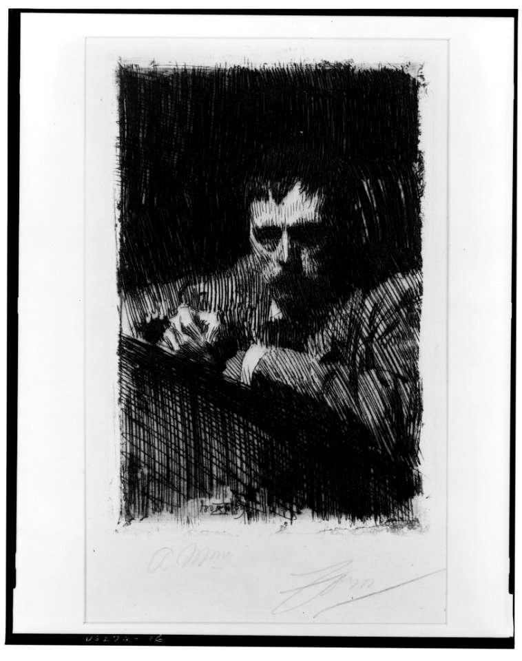 A painter-etcher, Zorn LCCN2003675822