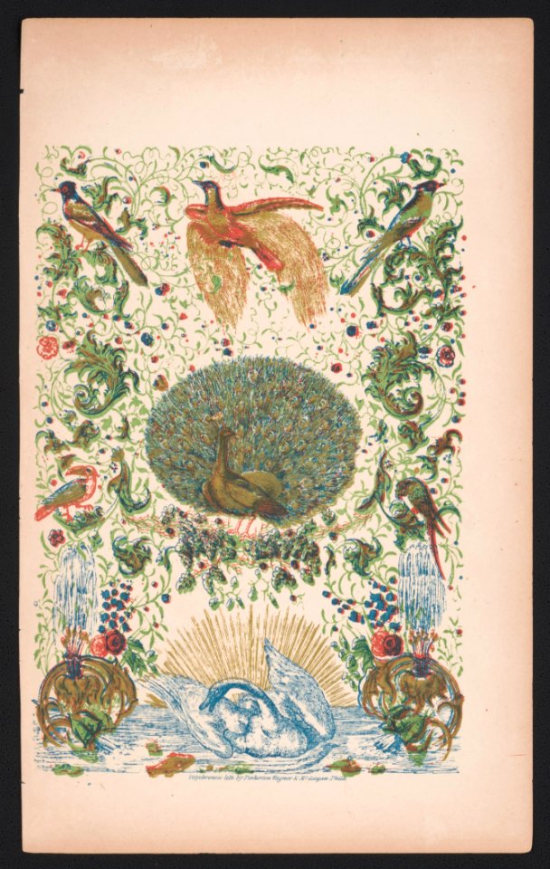 A peacock and other birds among design elements on a sample page illustrating color printing) - polychromic lith. by Pinkerton, Wagner & McGuigan, Phila LCCN2016649761