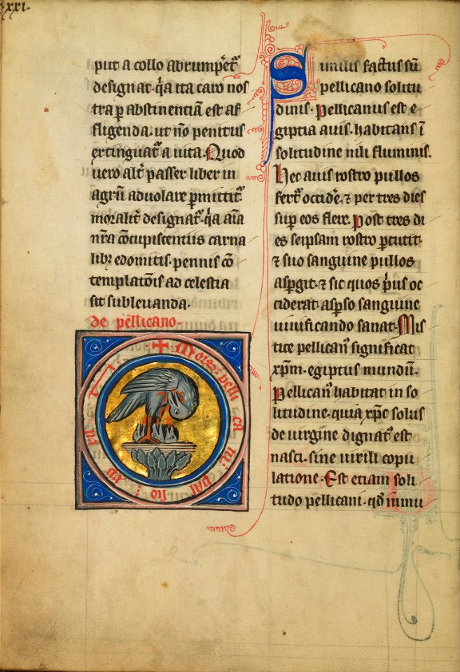 A Pelican Feeding her Young - Google Art Project (6805760)