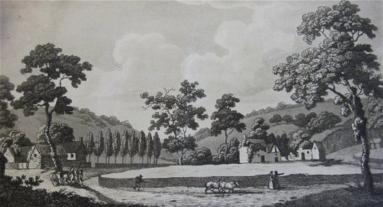 A Picture of Jersey 1809 Stead 10