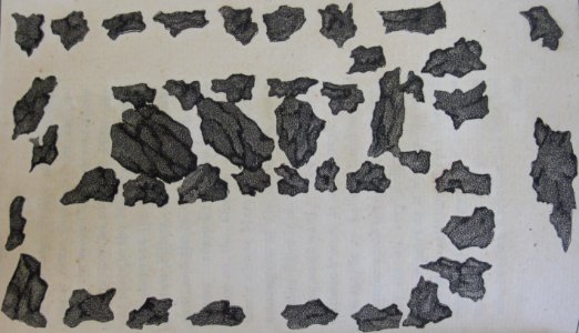 A Picture of Jersey 1809 Stead 5