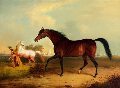 A Persian mare presented to H.R.H. the Prince Regent... by Henry Bernard Chalon, 1819