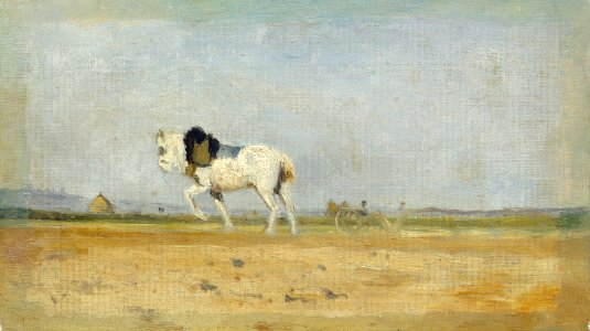 A Plow Horse in a Field G-002537-20120801