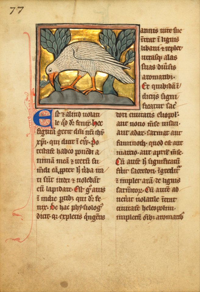 A Phoenix - Google Art Project (JgEpBOK0IafeoA)