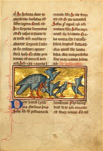 A Pelican Feeding her Young - Google Art Project (lgHqUJaXPUhT9Q)