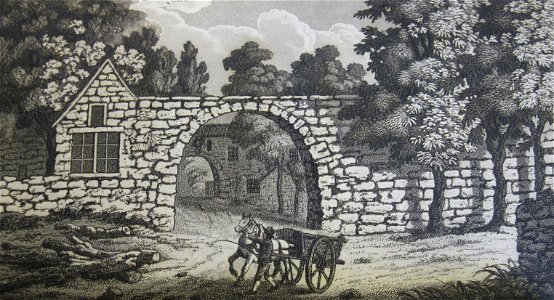 A Picture of Jersey 1809 Stead 2
