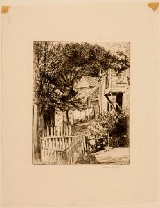 A Provincetown Backyard