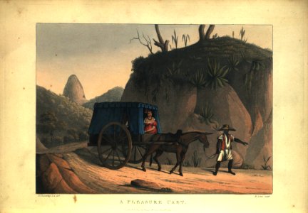 A pleasure cart (1), da Coleção Brasiliana Iconográfica