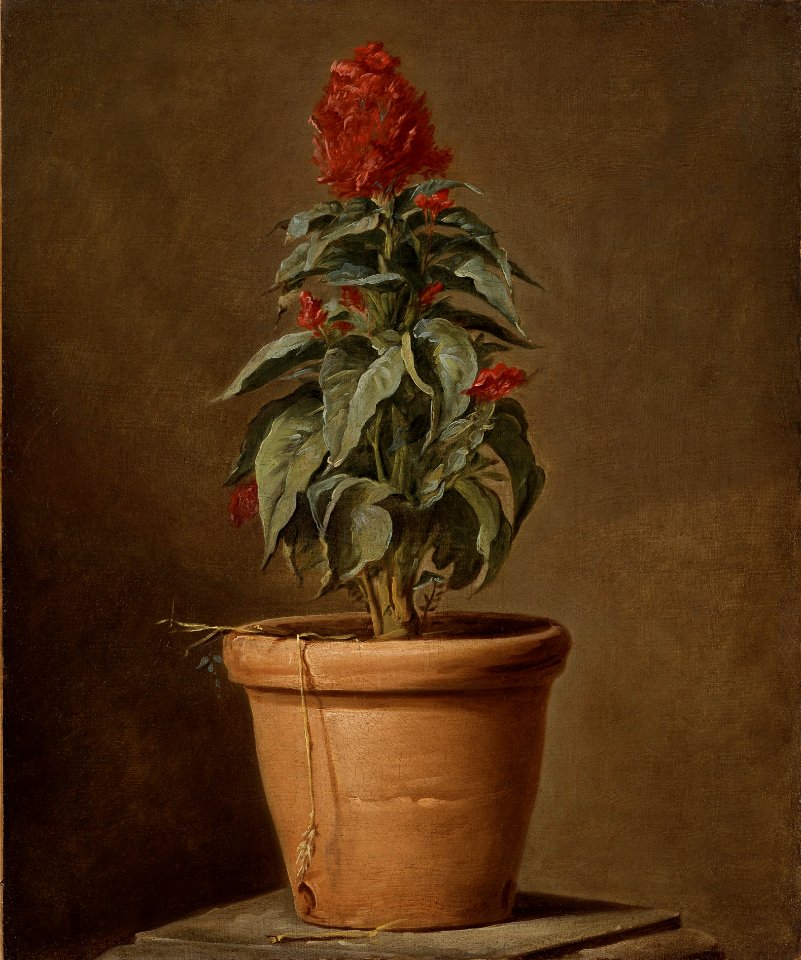A Potted Plant (Henri Horace Roland de la Porte) - Nationalmuseum - 22481
