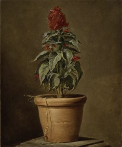 A Potted Plant (Henri Horace Roland de la Porte) - Nationalmuseum - 22481
