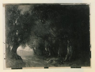 A road through the woods (HS85-10-24498) original