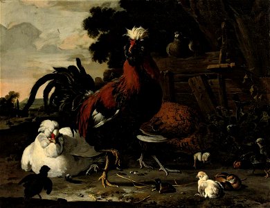 A rooster, hens, chicks and a pigeon near a wood paling in a landscape. Free illustration for personal and commercial use.