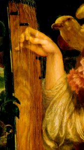 A Sea–Spell-Harp and gull