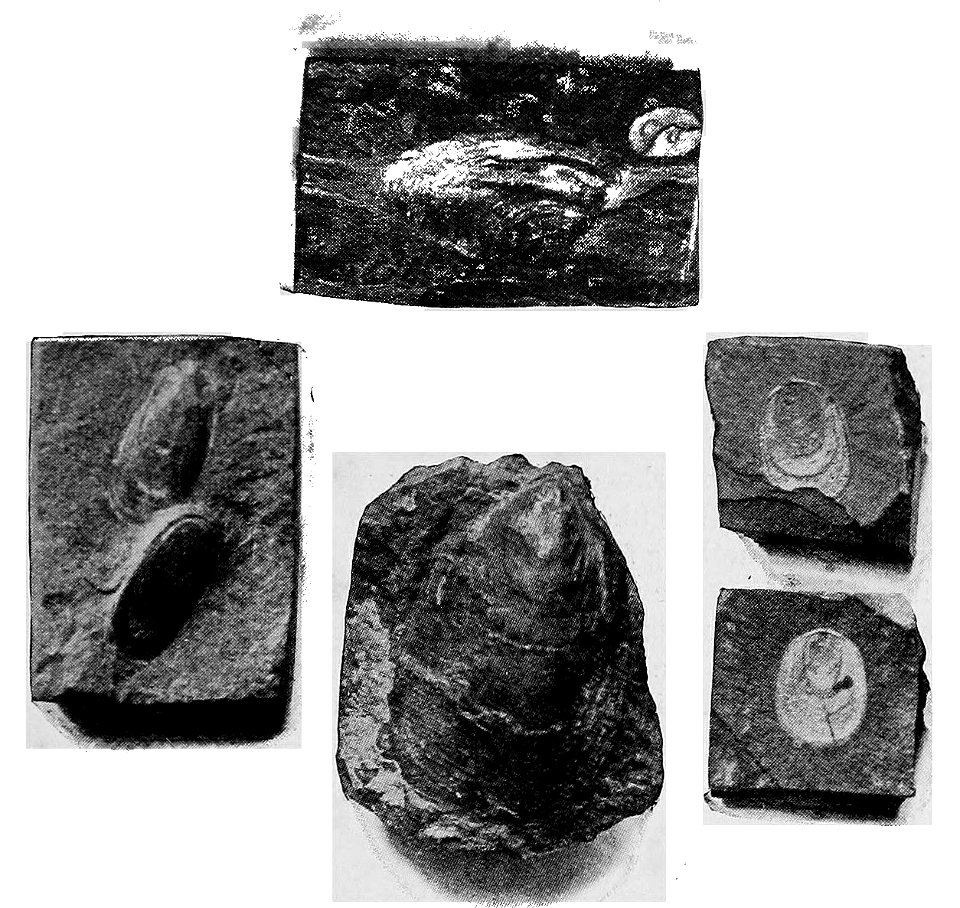 A Short History of the World, p0032