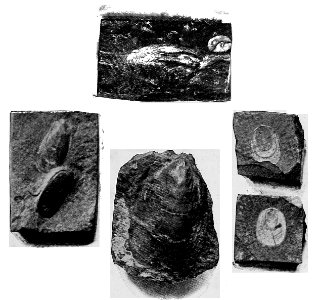 A Short History of the World, p0032