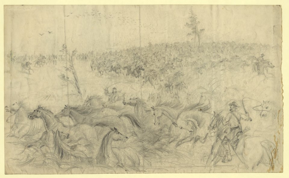 A stampede of army horses LCCN2004660837