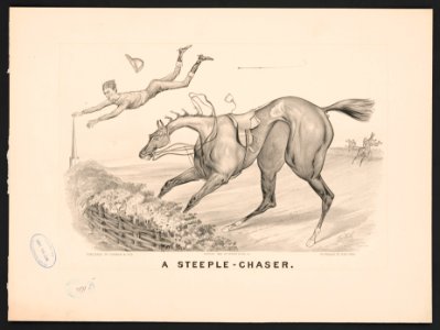 A steeple-chaser - Thos. Worth. LCCN2017660420