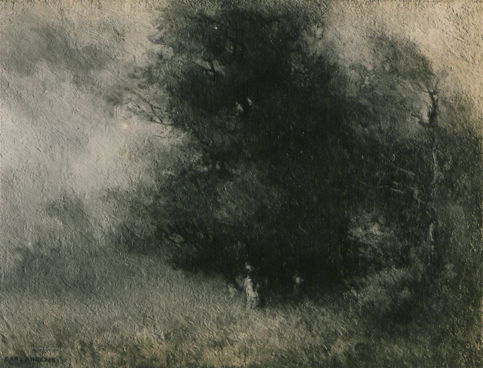 A summer breeze (HS85-10-24493)