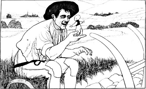 A Story about Palecek, Little Thumb 4