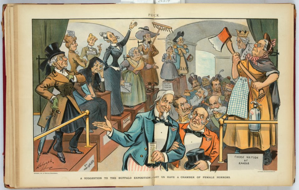 A suggestion to the Buffalo Exposition; - Let us have a chamber of female horrors - Dalrymple. LCCN2010651394