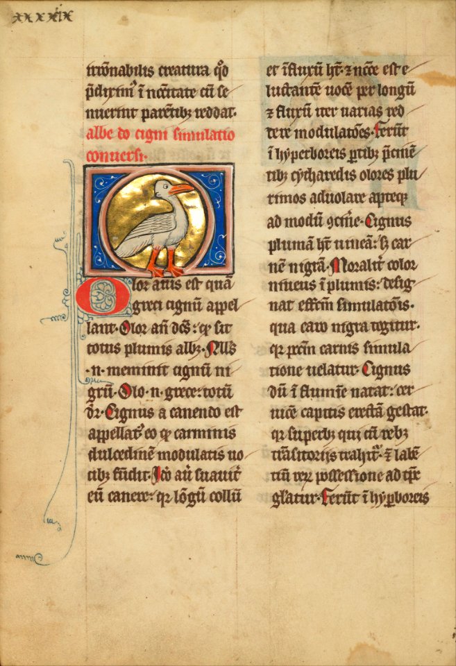 A Swan - Google Art Project