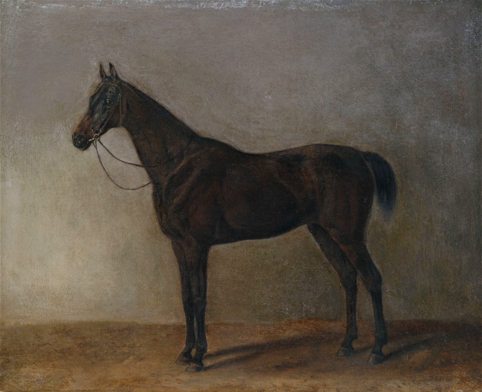 Albrecht Adam Brauner Wallach