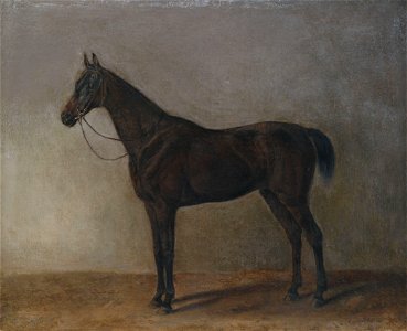 Albrecht Adam Brauner Wallach