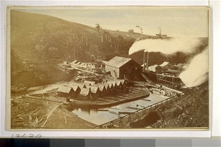 Albion Mills 2
