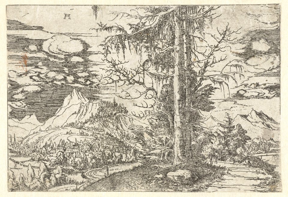 Albrecht Altdorfer - Landscape with a Double Spruce (Rijksmuseum RP-P-OB-2980)