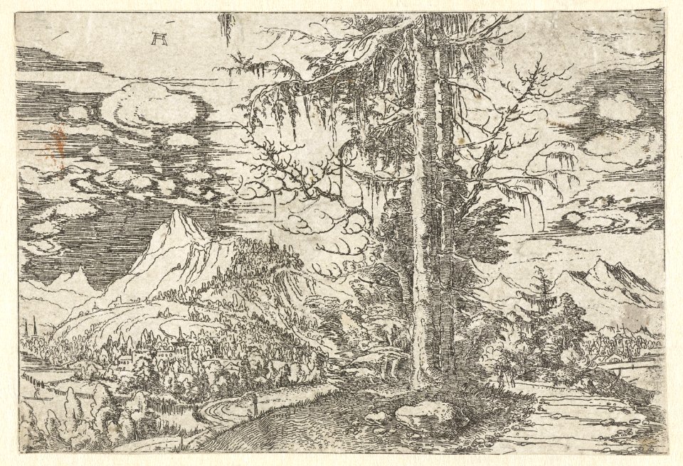 Albrecht Altdorfer - Landscape with a Double Spruce (Rijksmuseum RP-P-OB-2980). Free illustration for personal and commercial use.