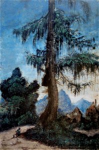Albrecht Altdorfer - Landscape with a Woodcutter (Kupferstichkabinett Berlin). Free illustration for personal and commercial use.