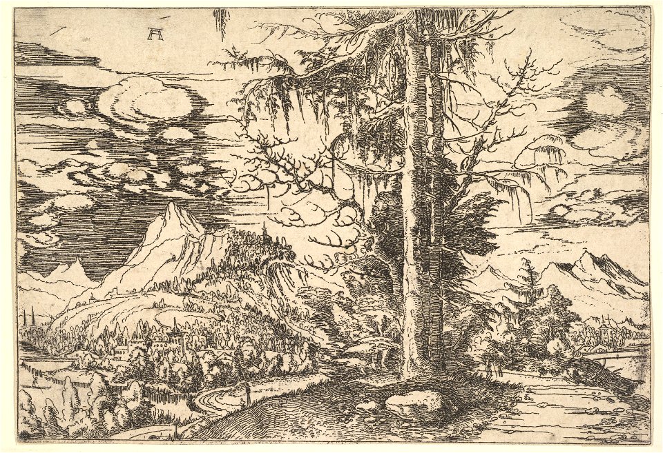 Albrecht Altdorfer - Landscape with a Double Spruce in the Foreground (Metropolitan Museum of Art 1993.1097)