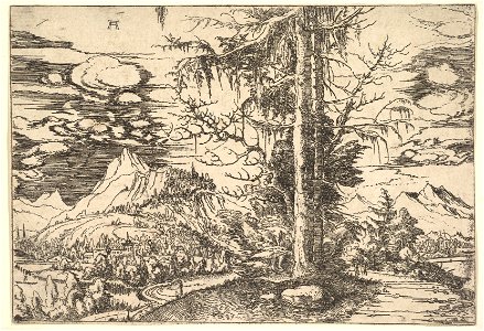 Albrecht Altdorfer - Landscape with a Double Spruce in the Foreground (Metropolitan Museum of Art 1993.1097). Free illustration for personal and commercial use.