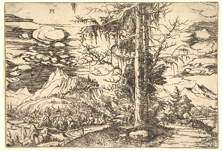 Albrecht Altdorfer - Landscape with a Double Spruce in the Foreground (Metropolitan Museum of Art 1993.1097)