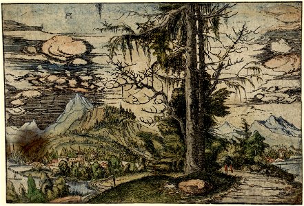 Albrecht Altdorfer - Landscape with a Double Spruce (hand-coloured) Albertina DG1926-1782. Free illustration for personal and commercial use.
