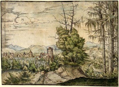 Albrecht Altdorfer - Landscape with Two Spruces and a Castle (hand-coloured) Albertina DG1926-1785