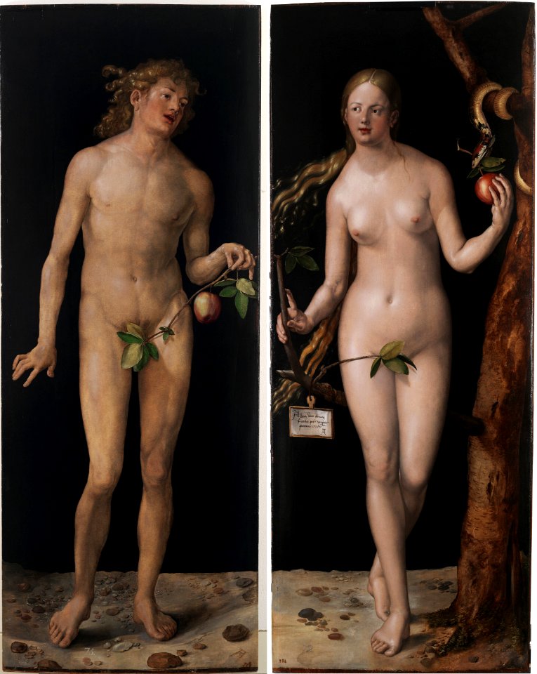Albrecht Dürer - Adam and Eve (Prado) 2FXD