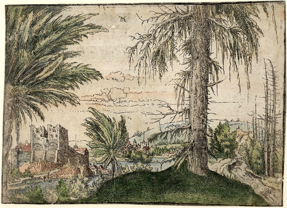 Albrecht Altdorfer - Landscape with a Spruce and Two Willows (hand-coloured) Albertina DG1926-1784