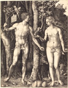 Albrecht Dürer - Adam and Eve (NGA 1949.1.18)