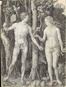 Albrecht Dürer - Adão e Eva
