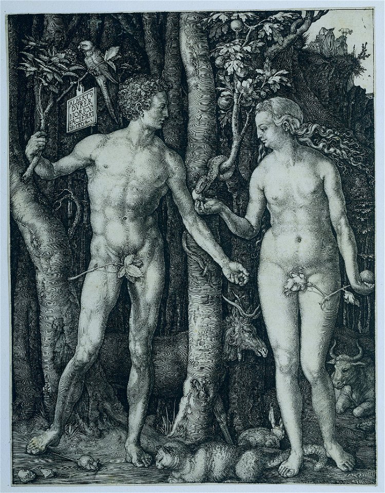 Albrecht Dürer - Adam and Eve (Rijksmuseum RP-P-OB-1155)