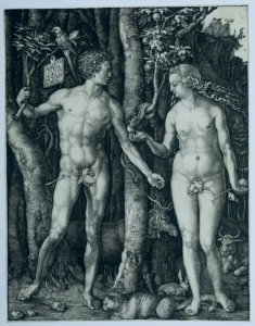Albrecht Dürer - Adam and Eve (Rijksmuseum RP-P-OB-1155). Free illustration for personal and commercial use.