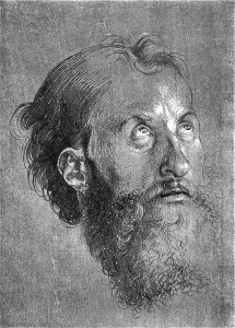 Albrecht Dürer - Head of an Apostle Looking Upward - WGA07068