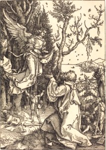 Albrecht Dürer - Joachim and the Angel (NGA 1943.3.3574)