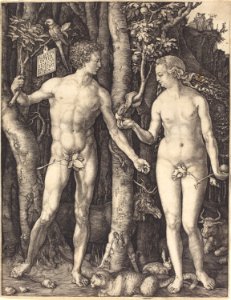 Albrecht Dürer - Adam and Eve (NGA 1943.3.3491). Free illustration for personal and commercial use.