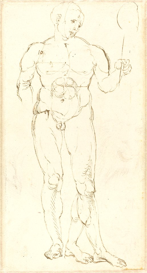 Albrecht Dürer - Male Nude Holding a Mirror (recto)