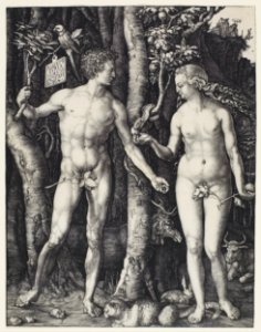 Albrecht Dürer - Adam and Eve - Google Art Project (cQEVzileB4kJ7Q)