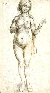 Albrecht Dürer - Female Nude - WGA07033. Free illustration for personal and commercial use.