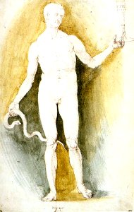 Albrecht Dürer - Male Nude with a Glass and Snake, so-called Asclepius - WGA07049